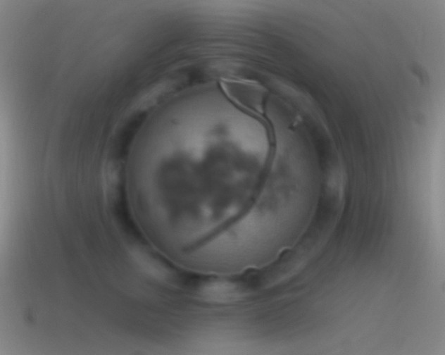 X0000115590759200911101238