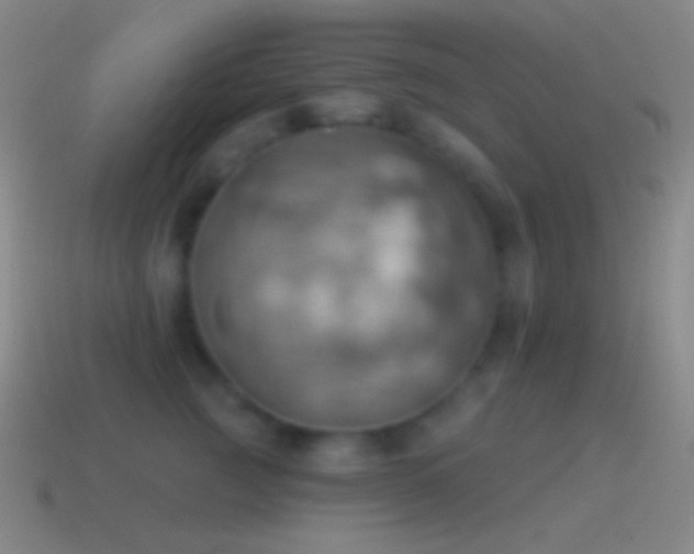 X0000115590761200911101238