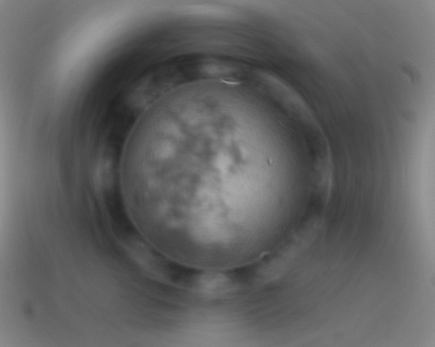 X0000115590762200911101238