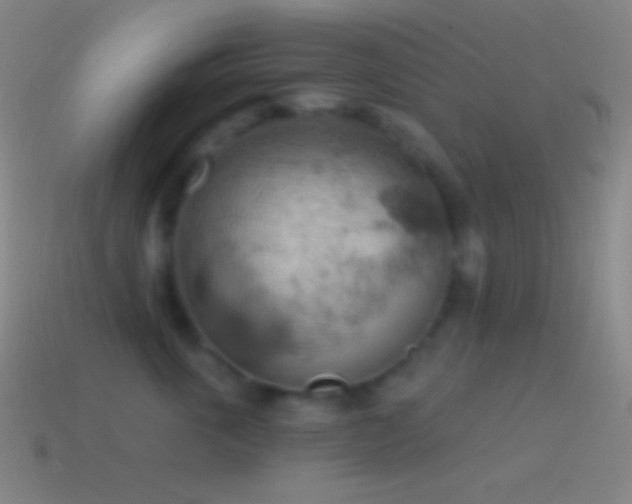 X0000115590763200911101238