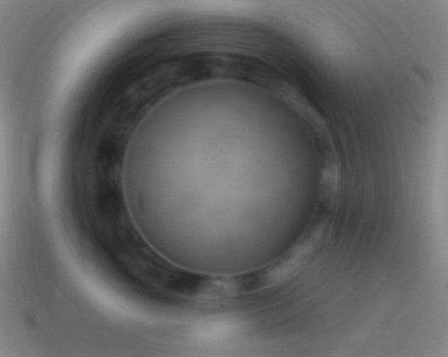 X0000115590765200911101238