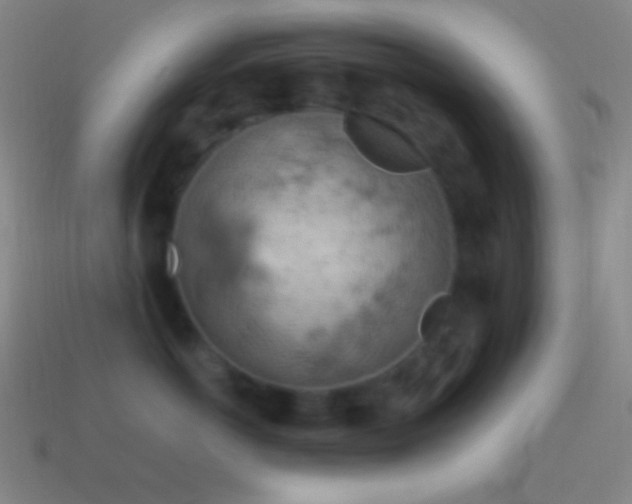 X0000115590766200911101238