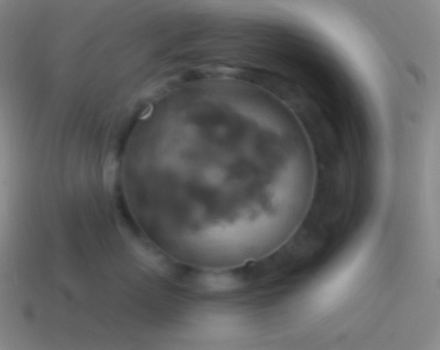 X0000115590767200911101238