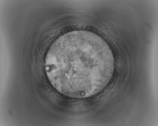 X0000115590769200911101237