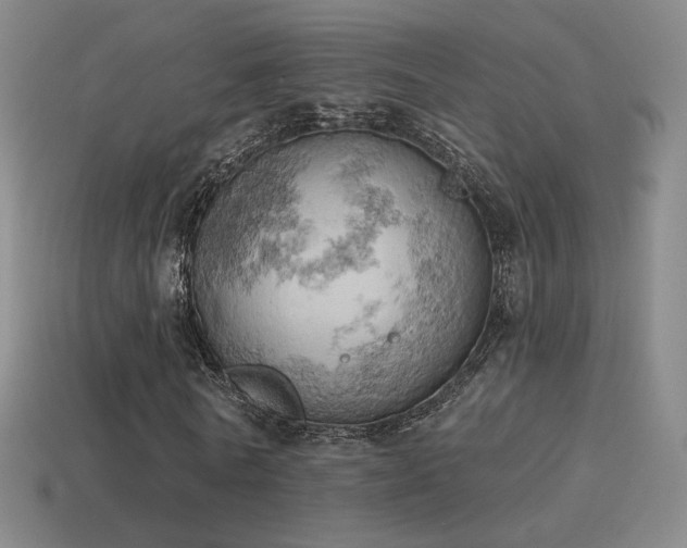 X0000115590770200911101237