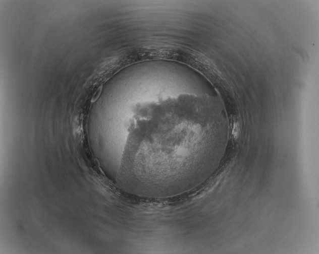 X0000115590771200911101237