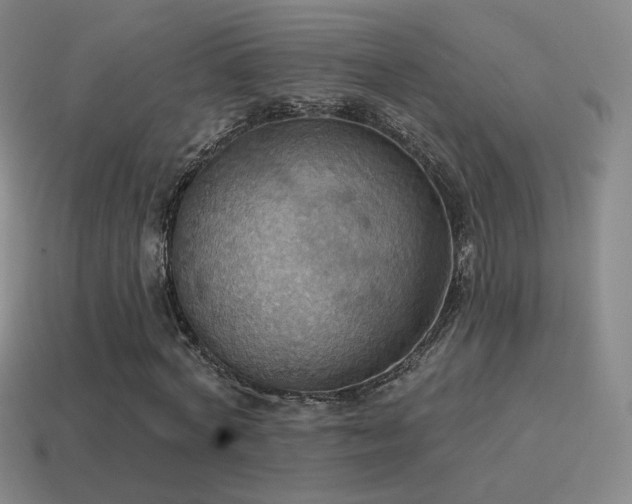 X0000115590772200911101237