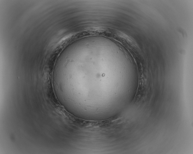 X0000115590773200911101237