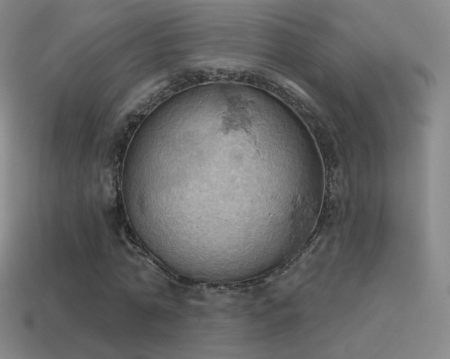 X0000115590774200911101237