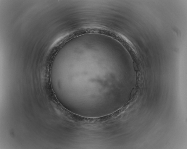 X0000115590775200911101237