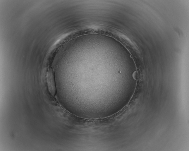 X0000115590776200911101237