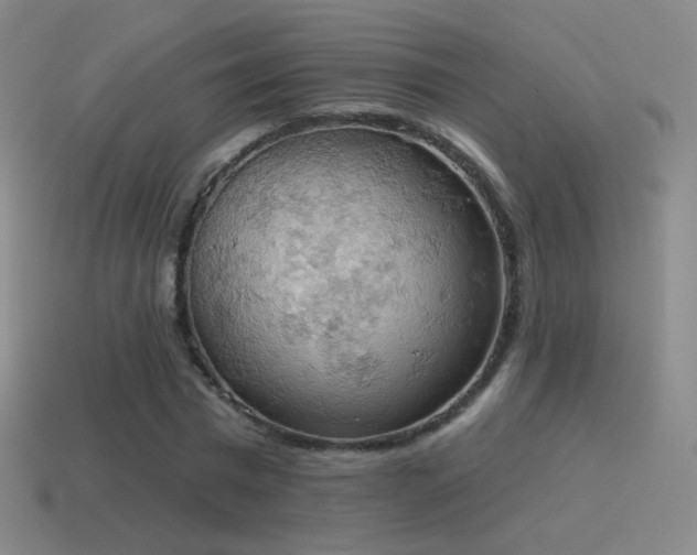 X0000115590777200911101237