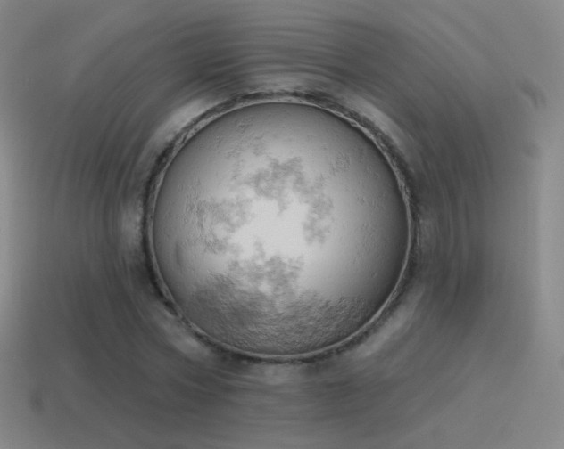 X0000115590778200911101237