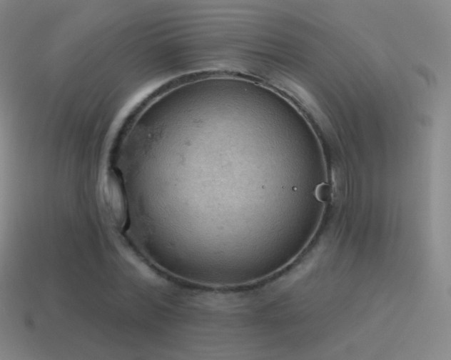 X0000115590780200911101237