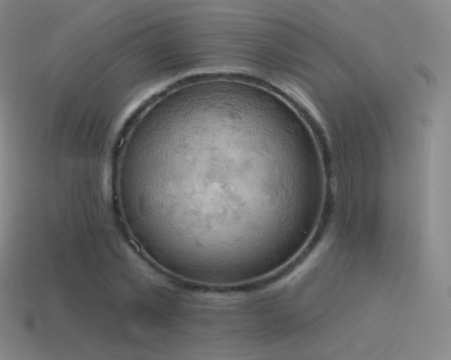 X0000115590781200911101237