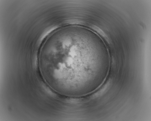 X0000115590782200911101237