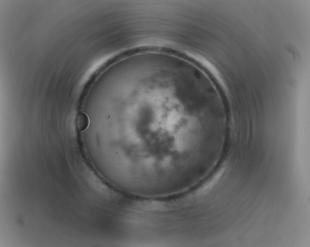 X0000115590783200911101237