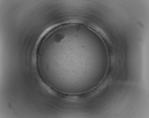 X0000115590784200911101237