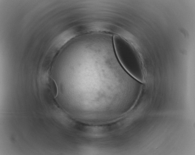 X0000115590785200911101237