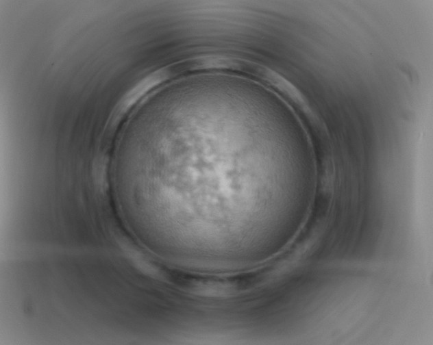 X0000115590786200911101237