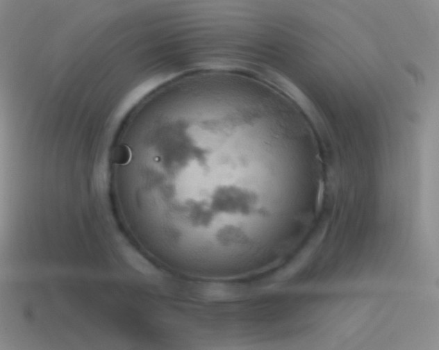 X0000115590787200911101237