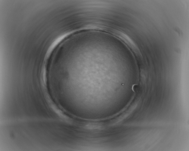 X0000115590788200911101237