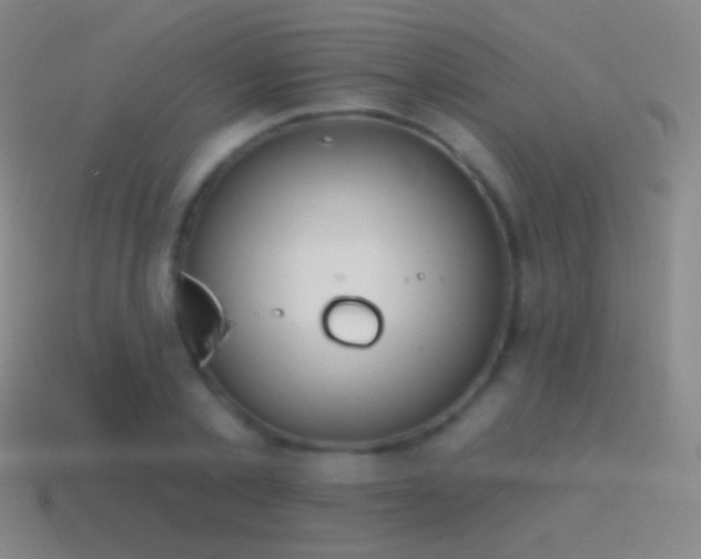 X0000115590789200911101237