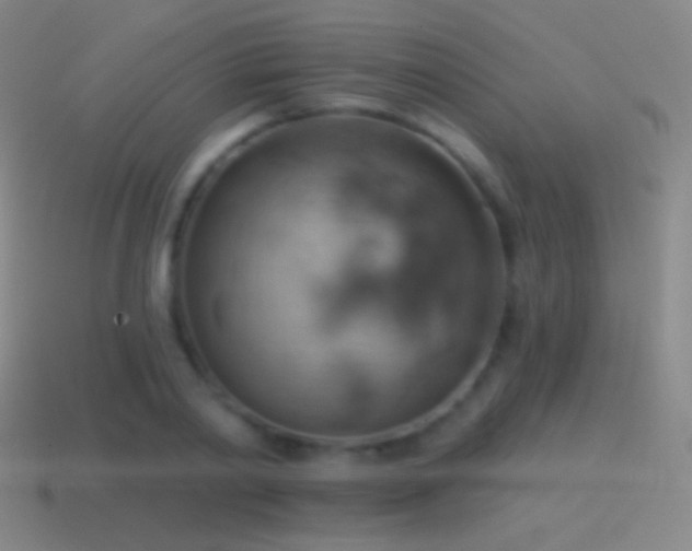 X0000115590790200911101237