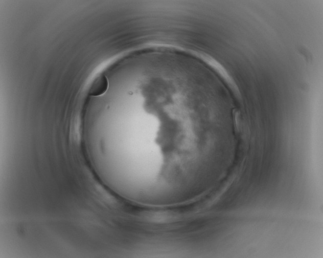 X0000115590791200911101237