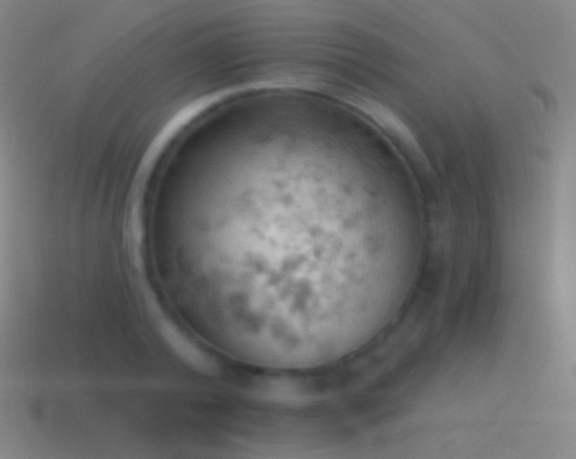 X0000115590792200911101237