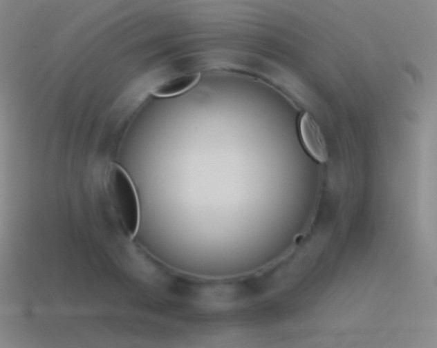 X0000115590793200911101237