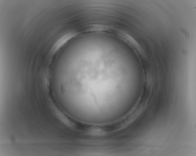 X0000115590794200911101237