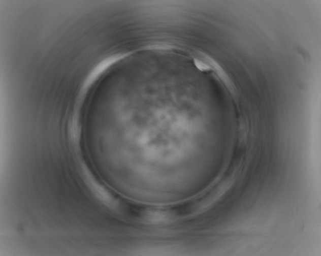 X0000115590795200911101237