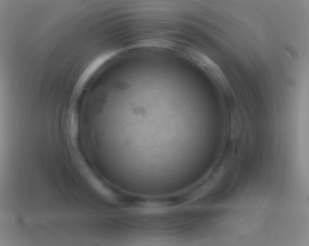 X0000115590796200911101237