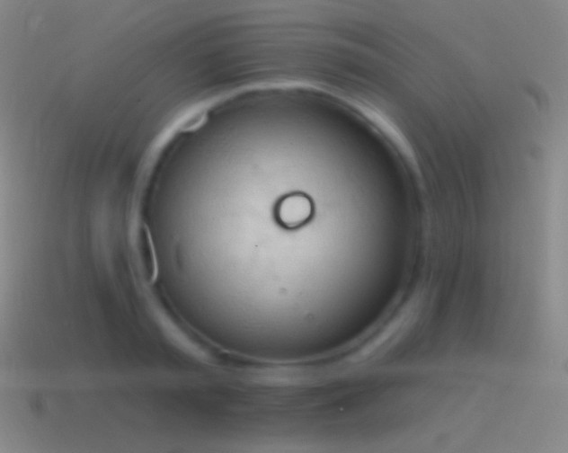 X0000115590797200911101237