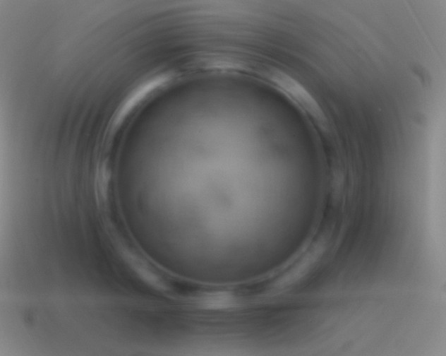 X0000115590798200911101237