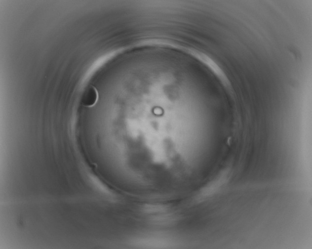 X0000115590799200911101237