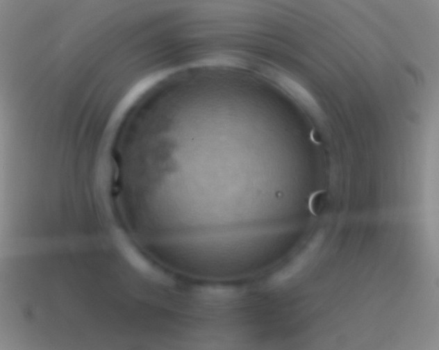 X0000115590800200911101237