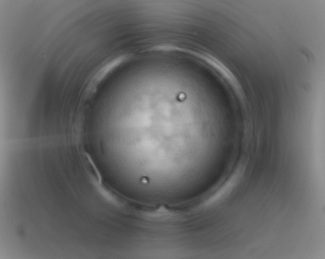 X0000115590801200911101237