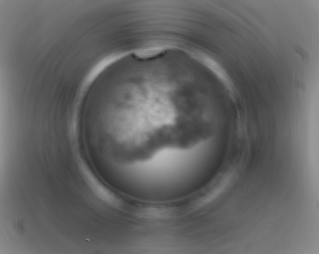 X0000115590803200911101237