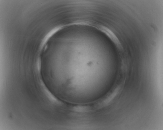 X0000115590804200911101237