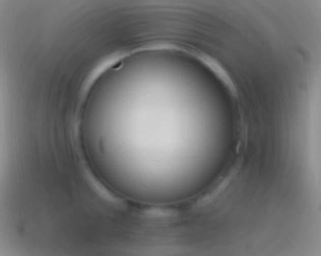 X0000115590805200911101237