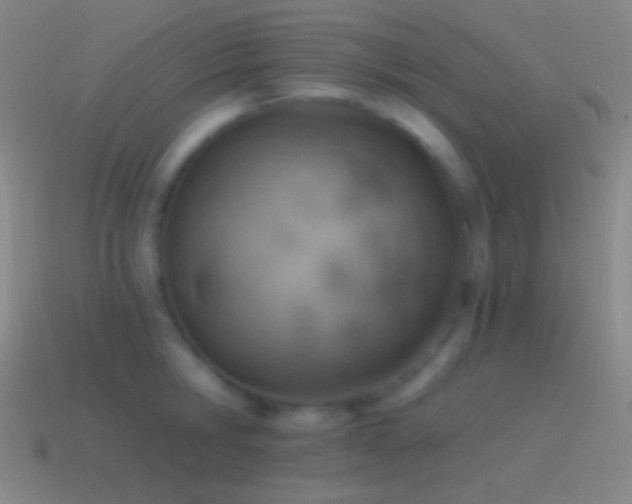 X0000115590806200911101237