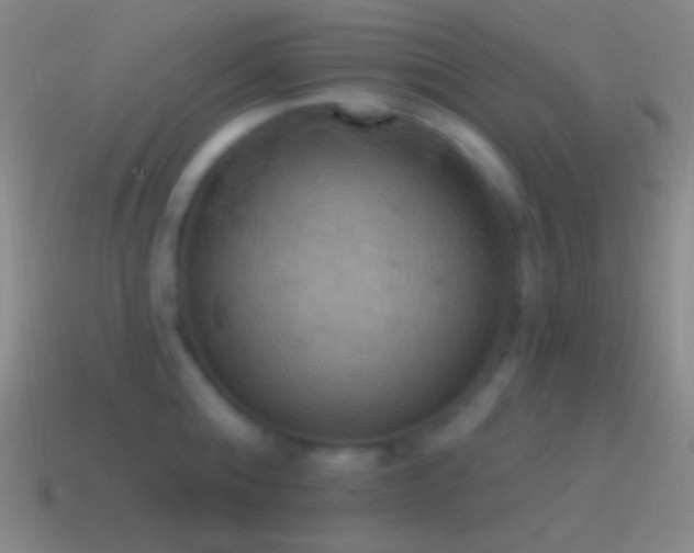 X0000115590808200911101237