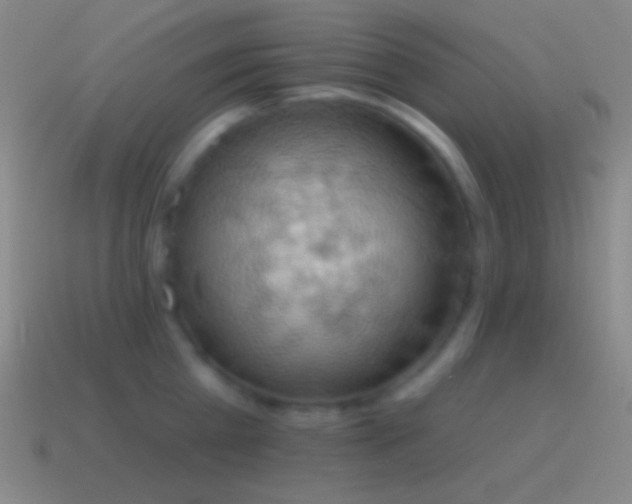 X0000115590809200911101237