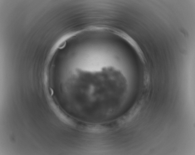 X0000115590811200911101237