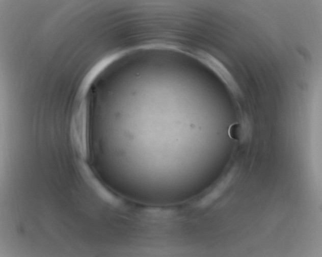 X0000115590812200911101237