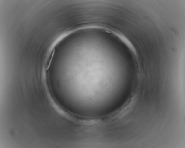 X0000115590813200911101237