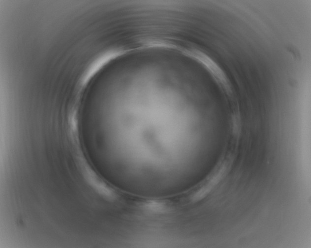 X0000115590814200911101237