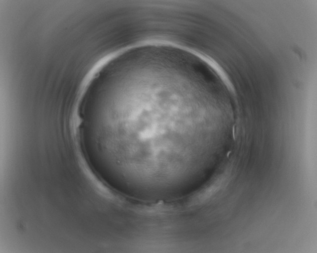 X0000115590815200911101237